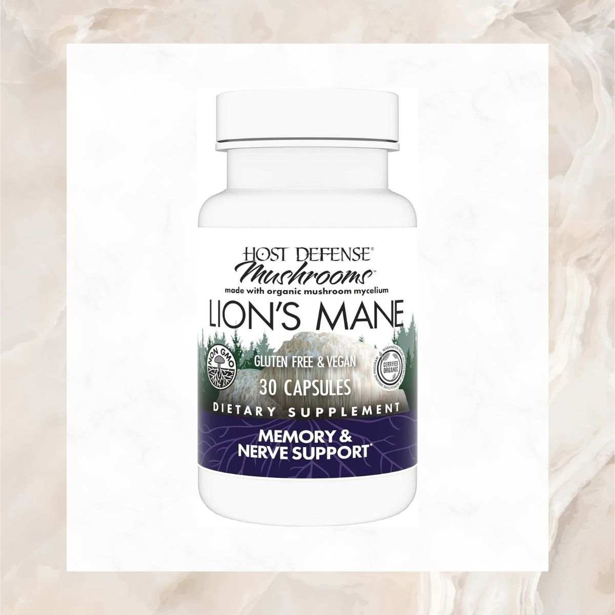 Support Focus & Memory Function with Lion's Mane