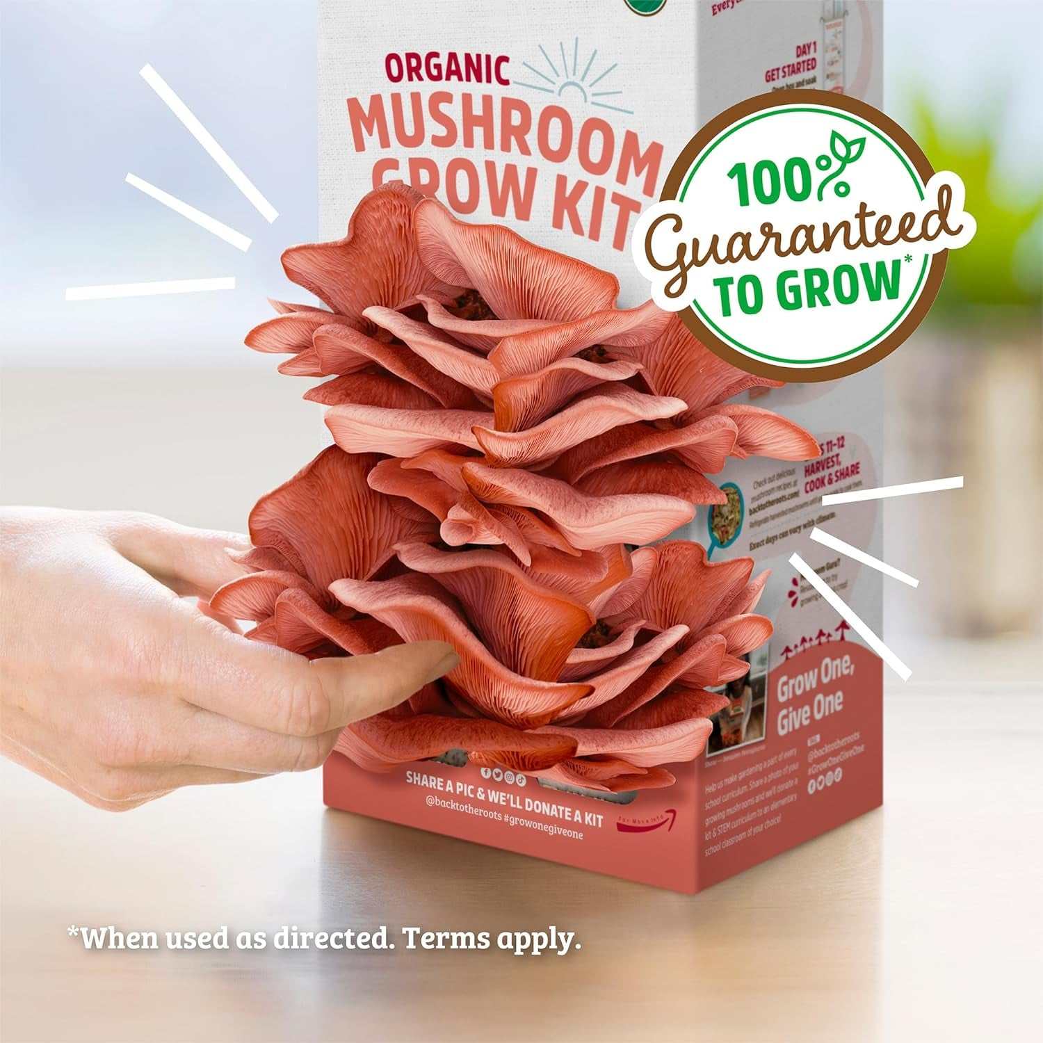 Organic Pink Mushroom Grow Kit, Harvest Gourmet Mushrooms in 10 Days